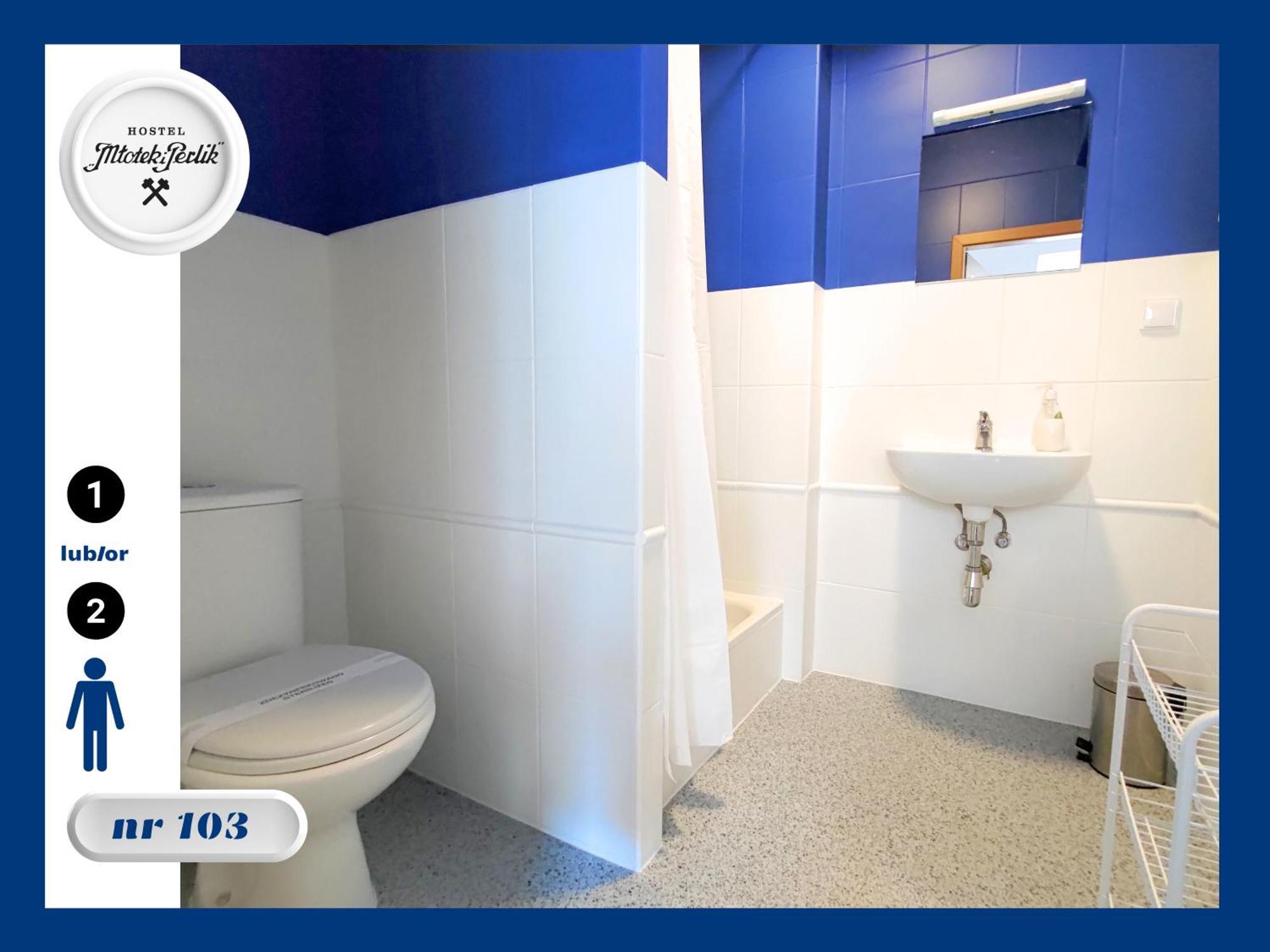 טרנובסקי גאורי Hostel Mlotek I Perlik מראה חיצוני תמונה
